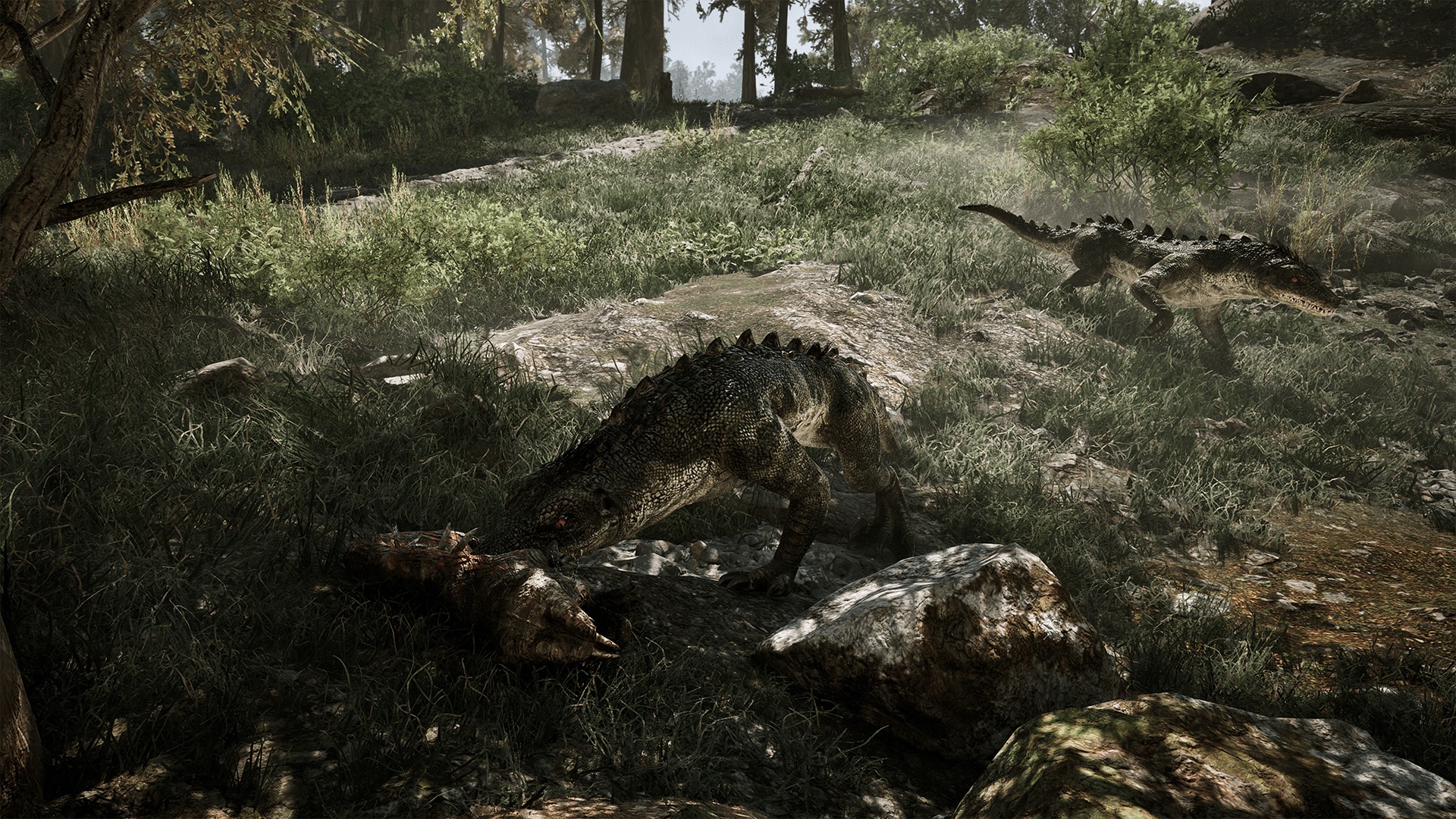 Two wild predators feeding in a grassy clearing